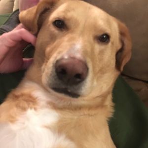 Meet your Posher, Kate